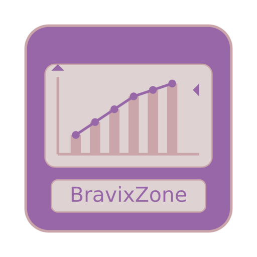BravixZone Logo